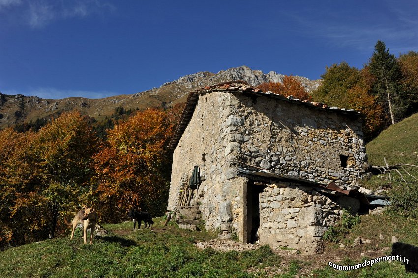 045 Baite Pizzadelle.JPG